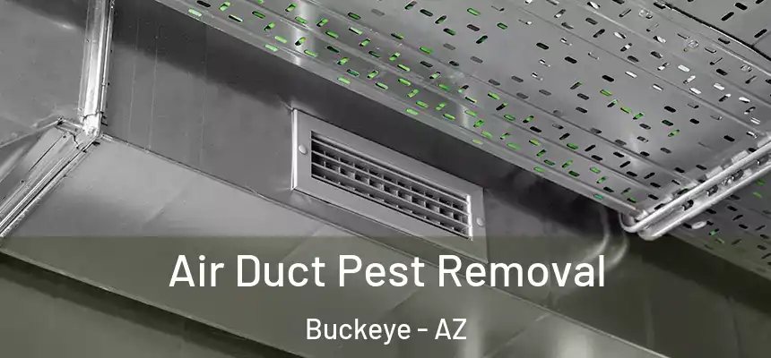  Air Duct Pest Removal Buckeye - AZ