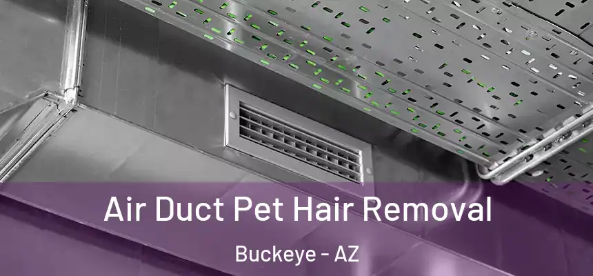  Air Duct Pet Hair Removal Buckeye - AZ