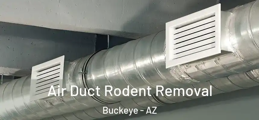  Air Duct Rodent Removal Buckeye - AZ