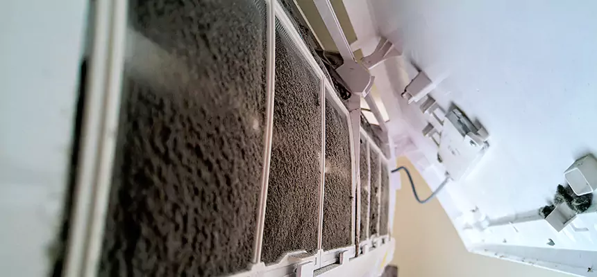 Preventive Air Duct Bacteria Removal in Buckeye