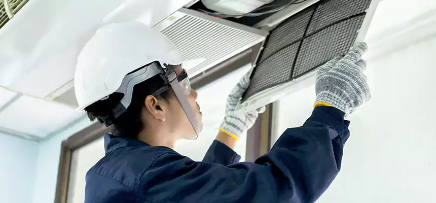 Our Mold & Mildew Removal from Air Ducts Services in Buckeye, AZ