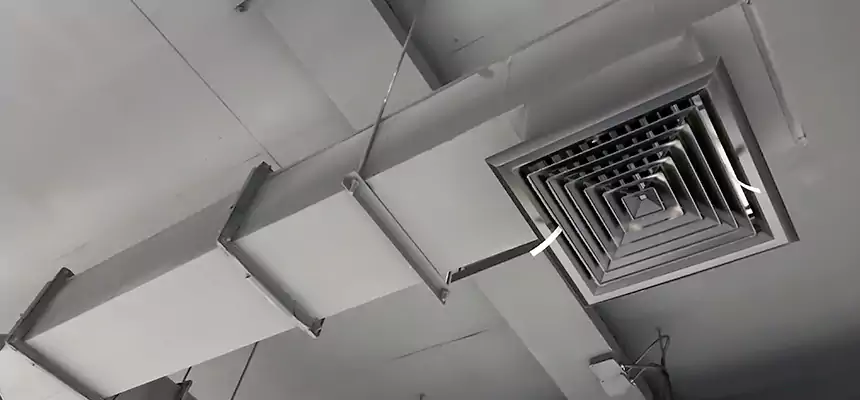 Our Rodent Droppings In Vents Services in Buckeye, AZ