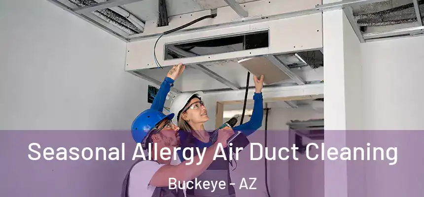  Seasonal Allergy Air Duct Cleaning Buckeye - AZ
