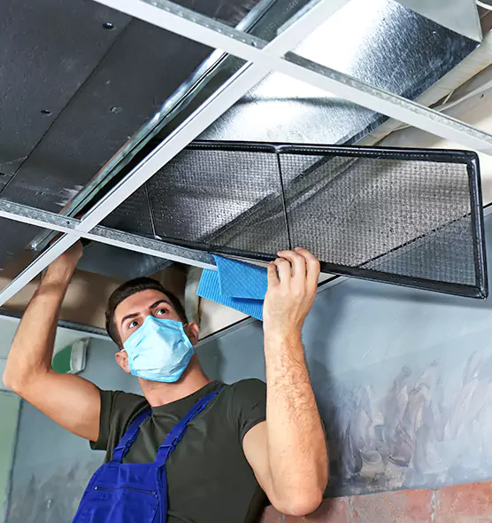 About Air Duct Bacteria Removal in Buckeye
