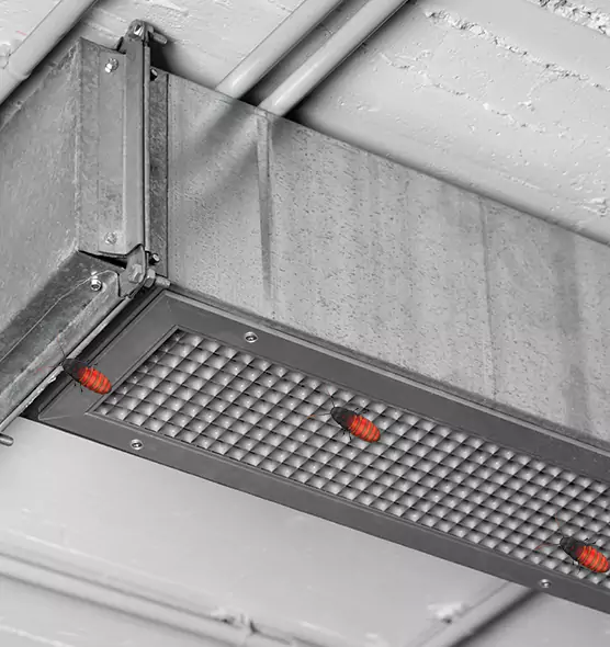 About Air Duct Cockroach Removal in Buckeye, AZ