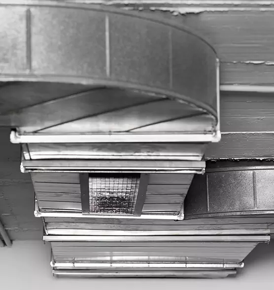 Professional Air Duct Pet Hair Removal in Buckeye, AZ