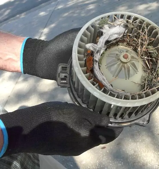 About Air Duct Rat Removal in Buckeye, AZ