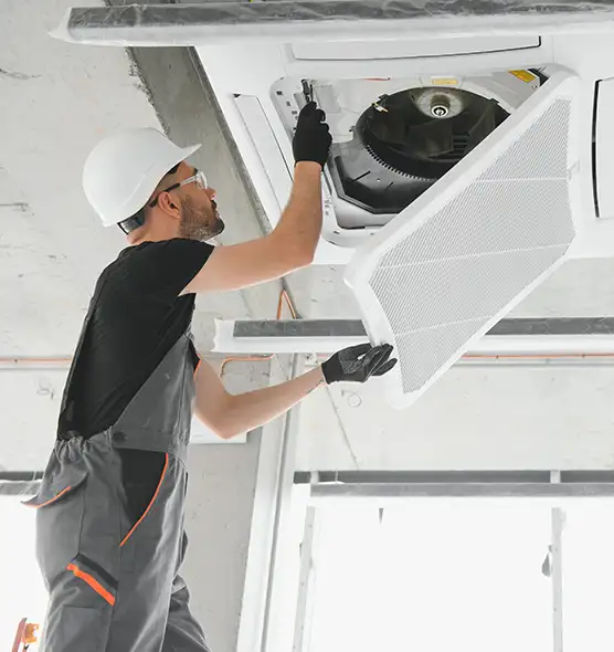 About Air Duct Rodent Removal in Buckeye, AZ