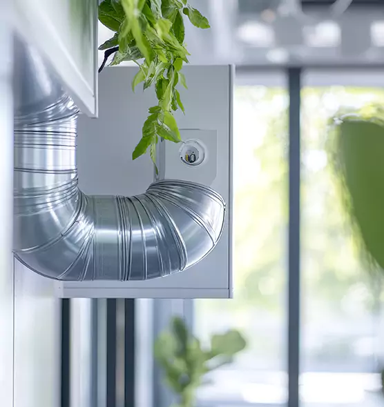 Professional Eco-Friendly Duct Cleaning Services in Buckeye, AZ