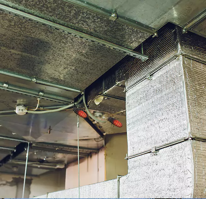 Why Homeowners & Businesses Trust Us in Buckeye, AZ?