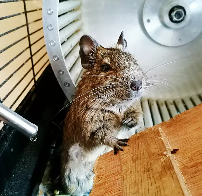 Why Homeowners & Businesses Trust Us Buckeye, AZ