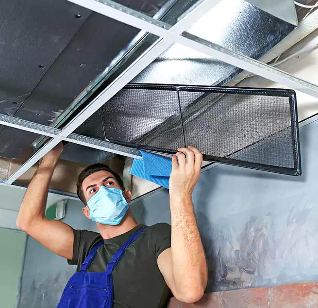 Why Homeowners Businesses Trust Us in Buckeye, AZ