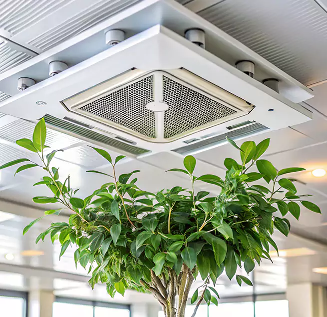 Why Homeowners & Businesses Trust Us in Buckeye, AZ?